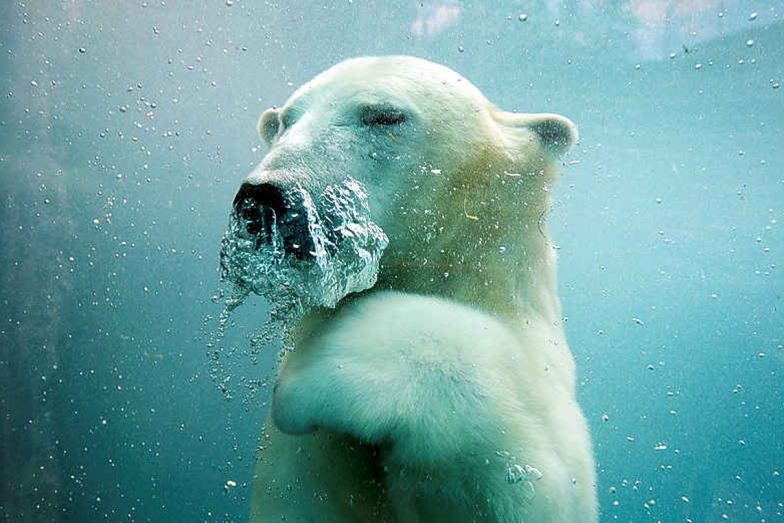 US to create genomic and cellular  'BioVault' for endangered species